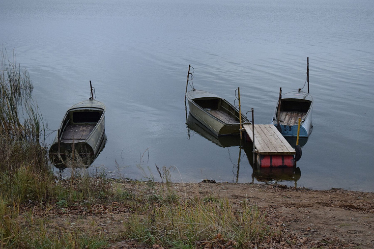 boats